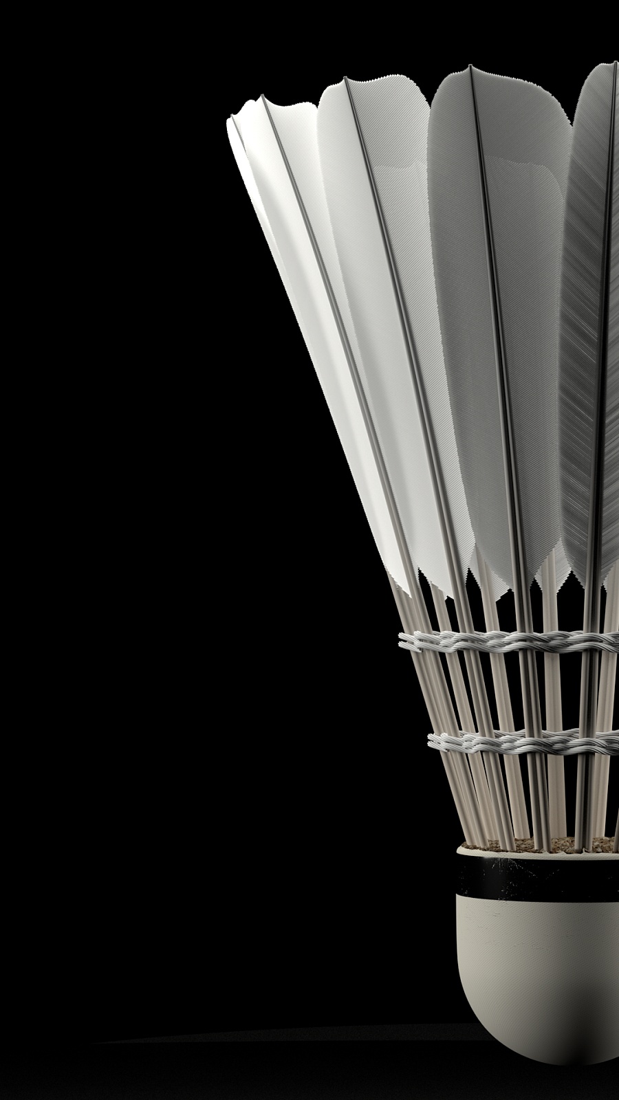 或许不愿为 或许不愿为