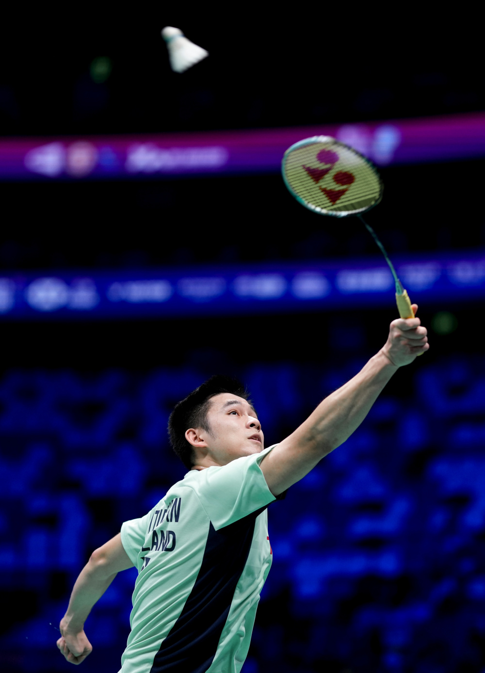 在这片神秘 在这片神秘