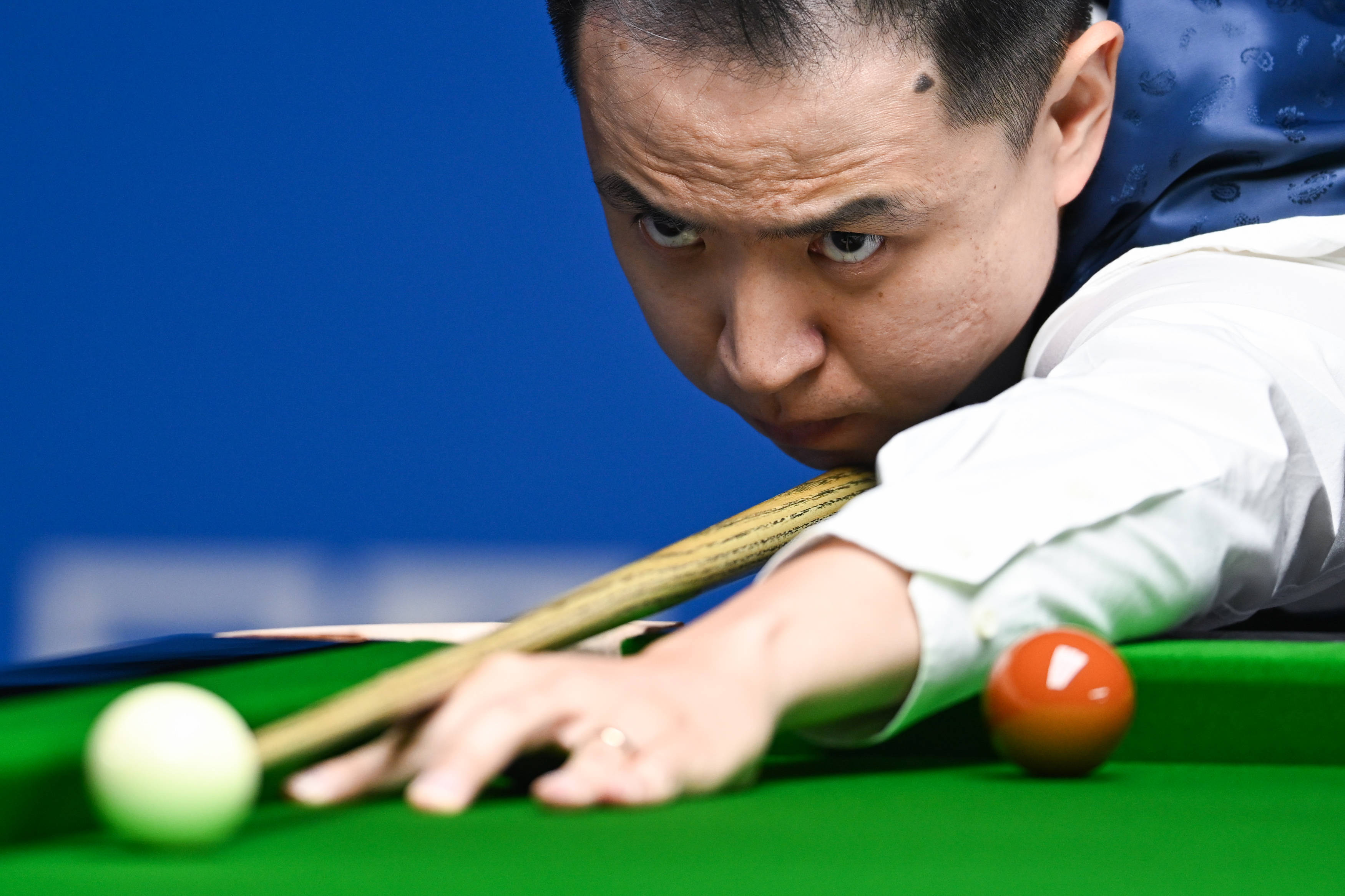 多点开花的 多点开花的