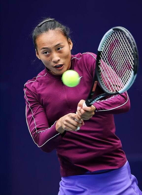 跳水辉煌历 跳水辉煌历